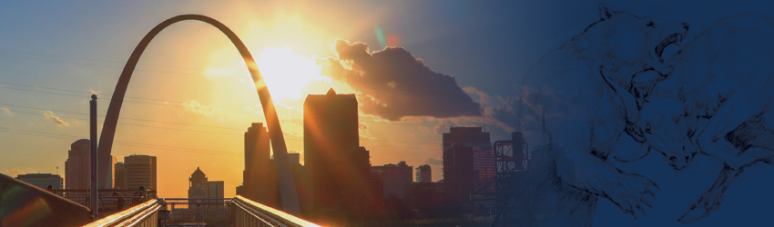 St. Louis skyline at sunset with Stifel Bull and Bear in right corner